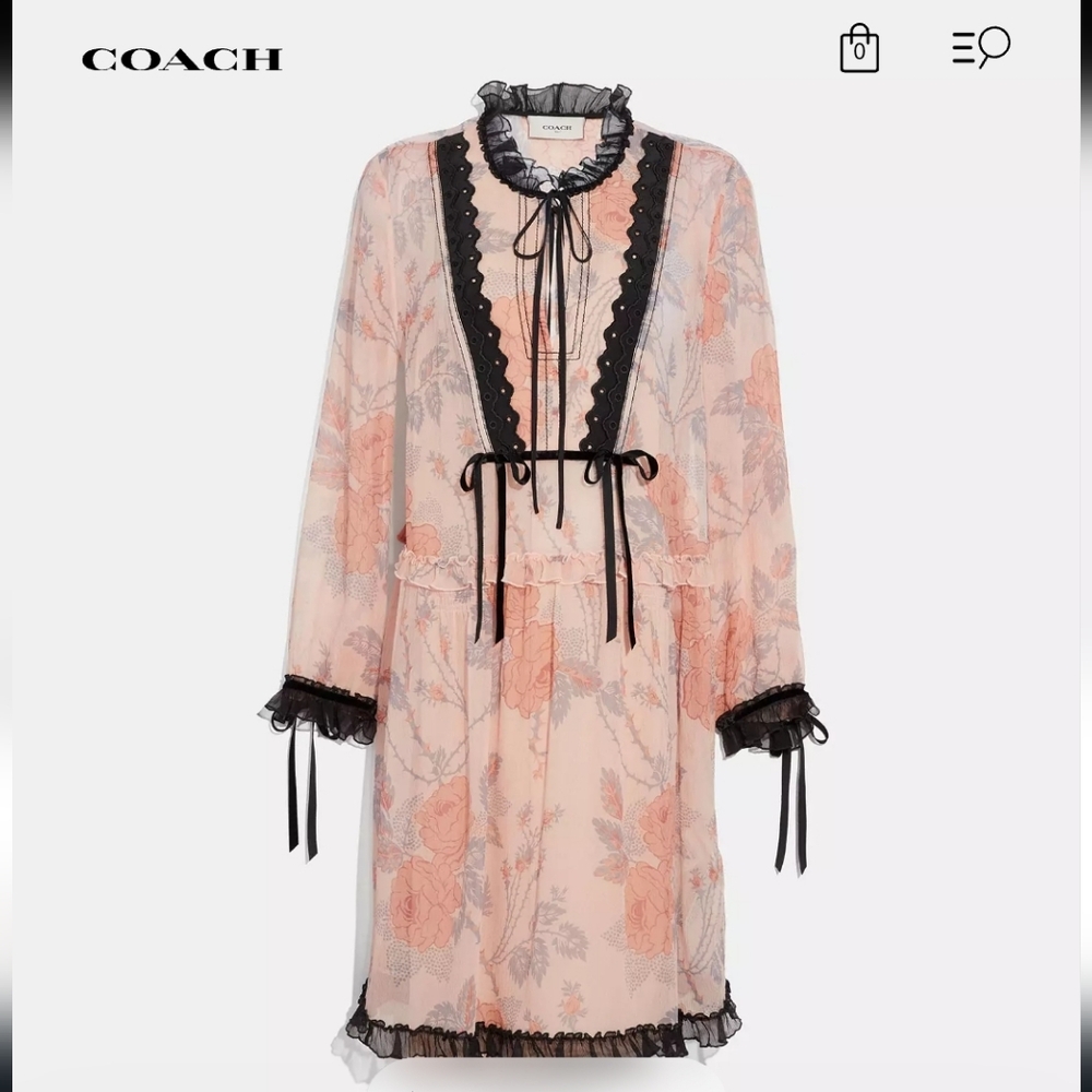 COACH Rose-print Long-sleeve Silk Short Dress In Pink